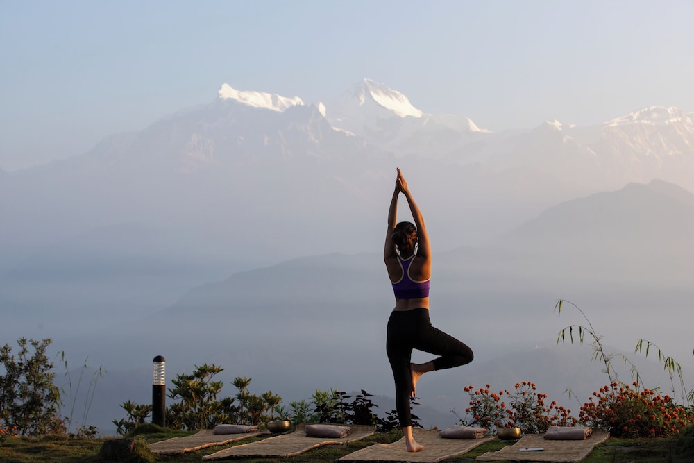 Hotel Annapurna View Sarangkot 26/44