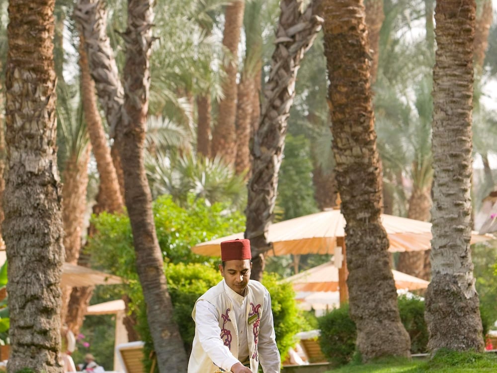 Pavillon Winter Luxor 38/42