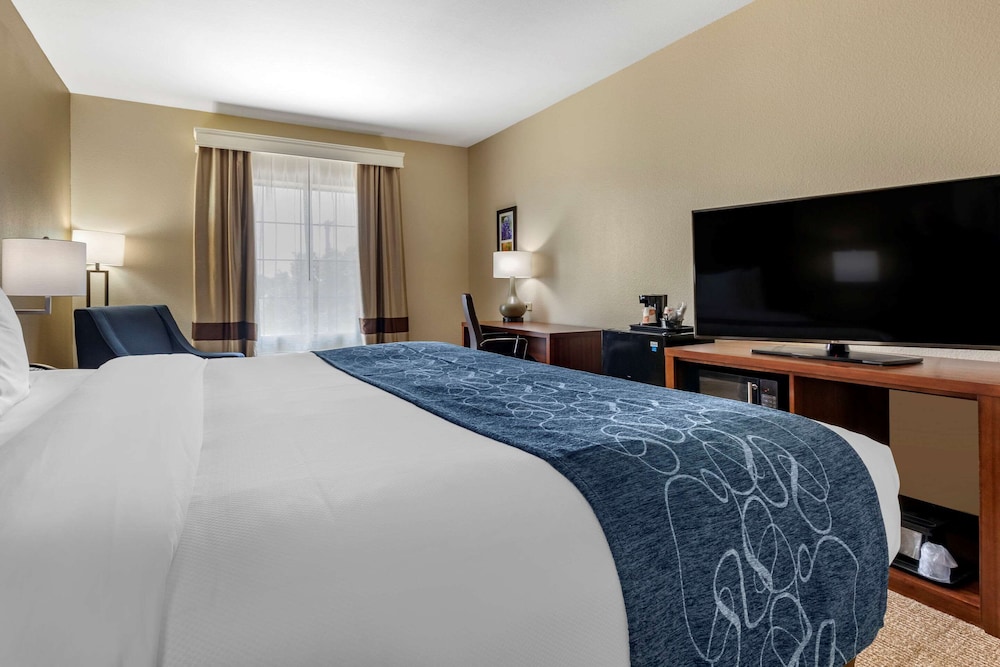 Comfort Inn & Suites Paris 11/33