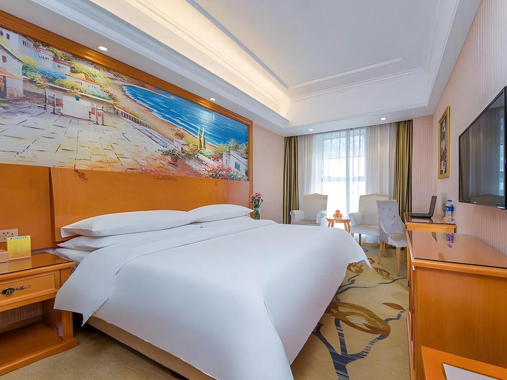 Vienna Hotel (Enshi Hangkong Avenue) 22/46