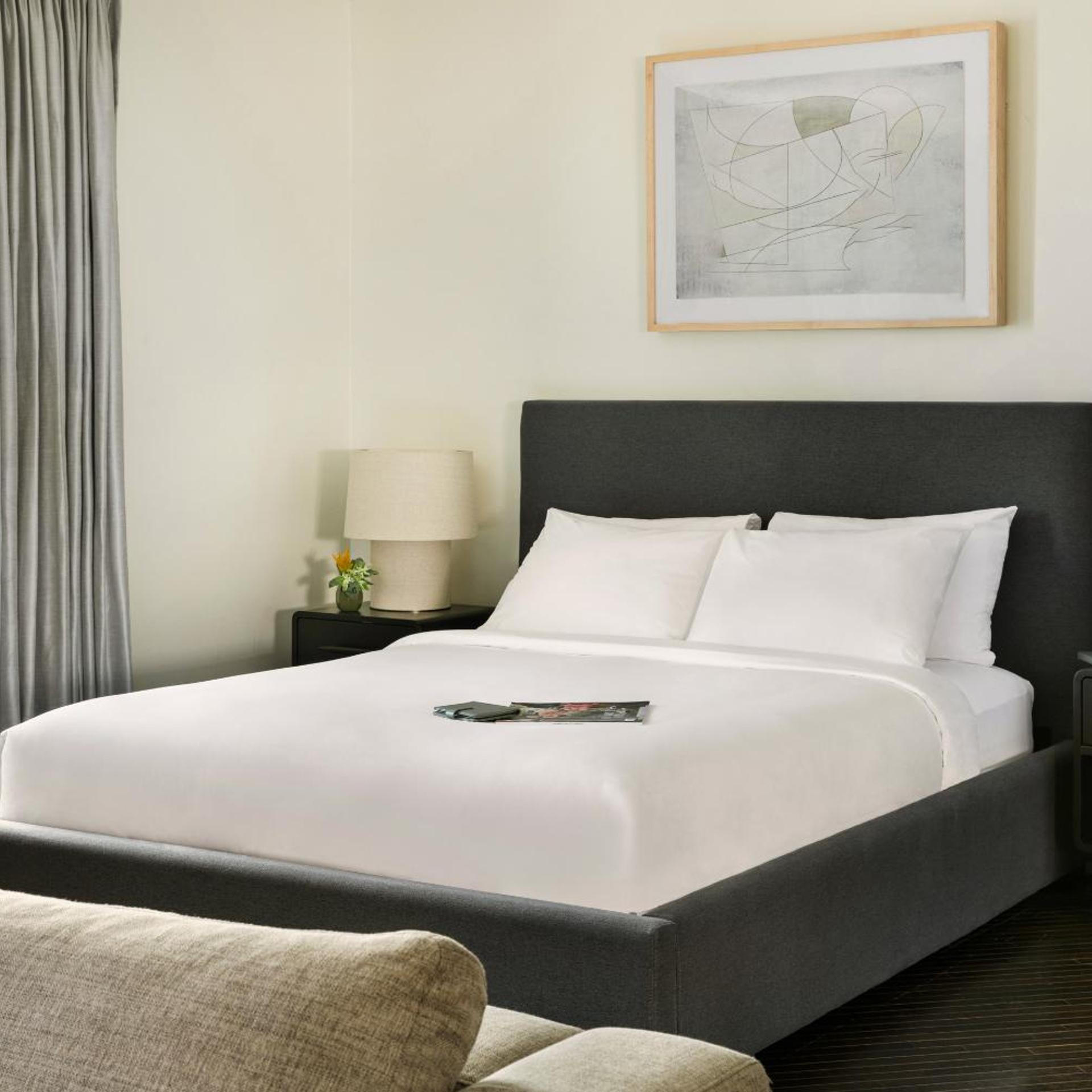 Eden, Studio, Suite, King Bed