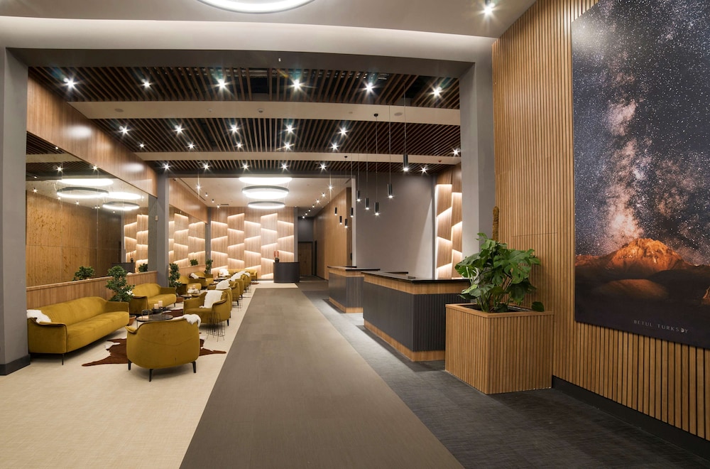 Radisson Blu Hotel Mount Erciyes 7/68