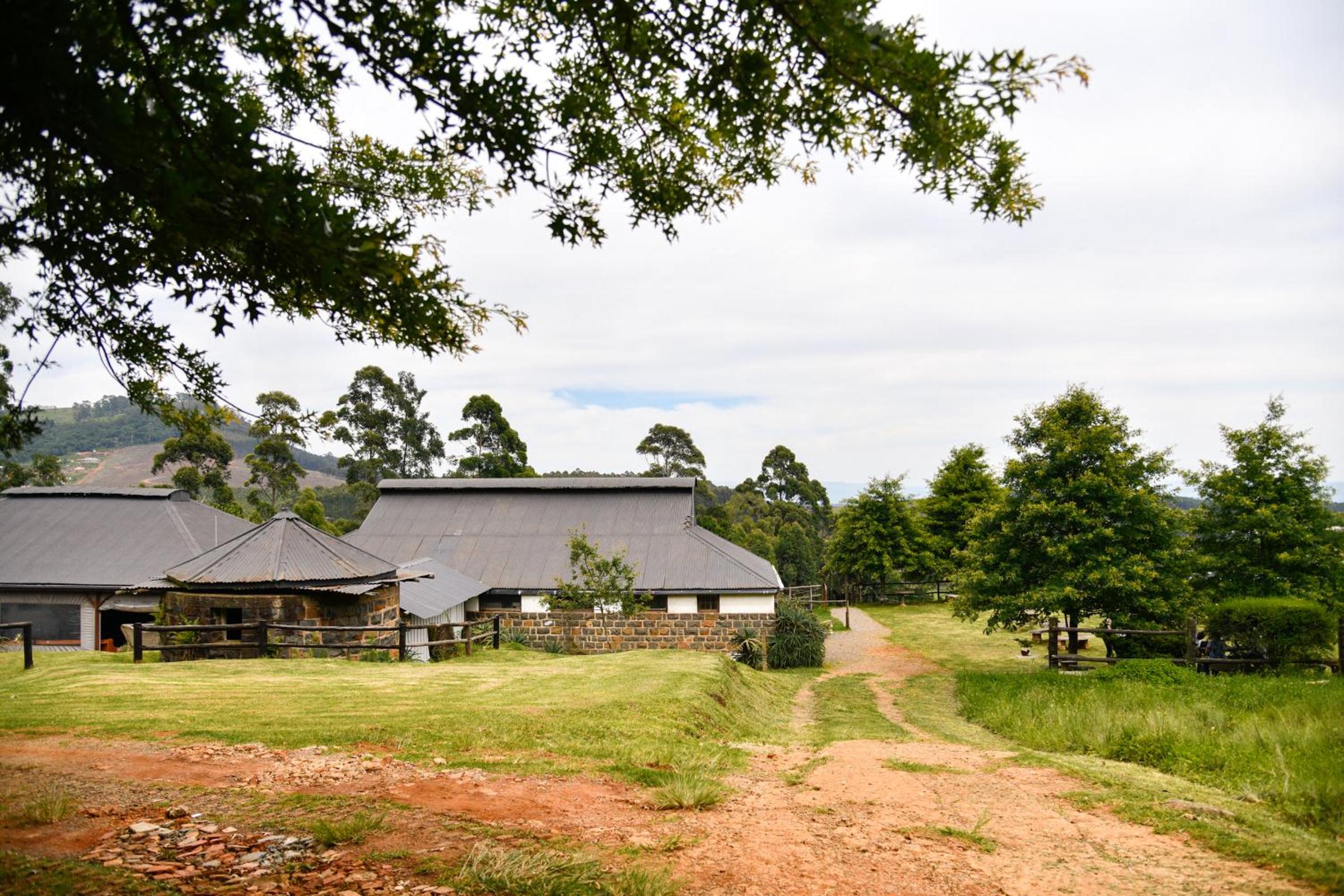 The Knoll Guest Farm 8/14
