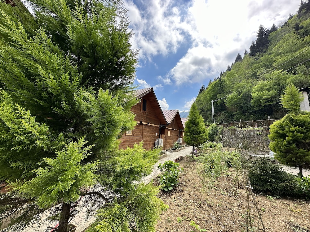 Tuva Villa's 43/50