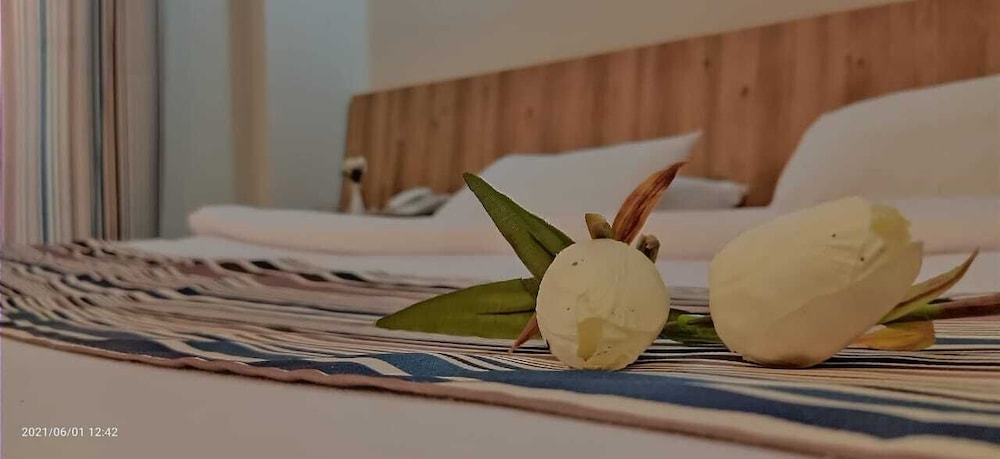 Siesta Marina Hotel 14/30