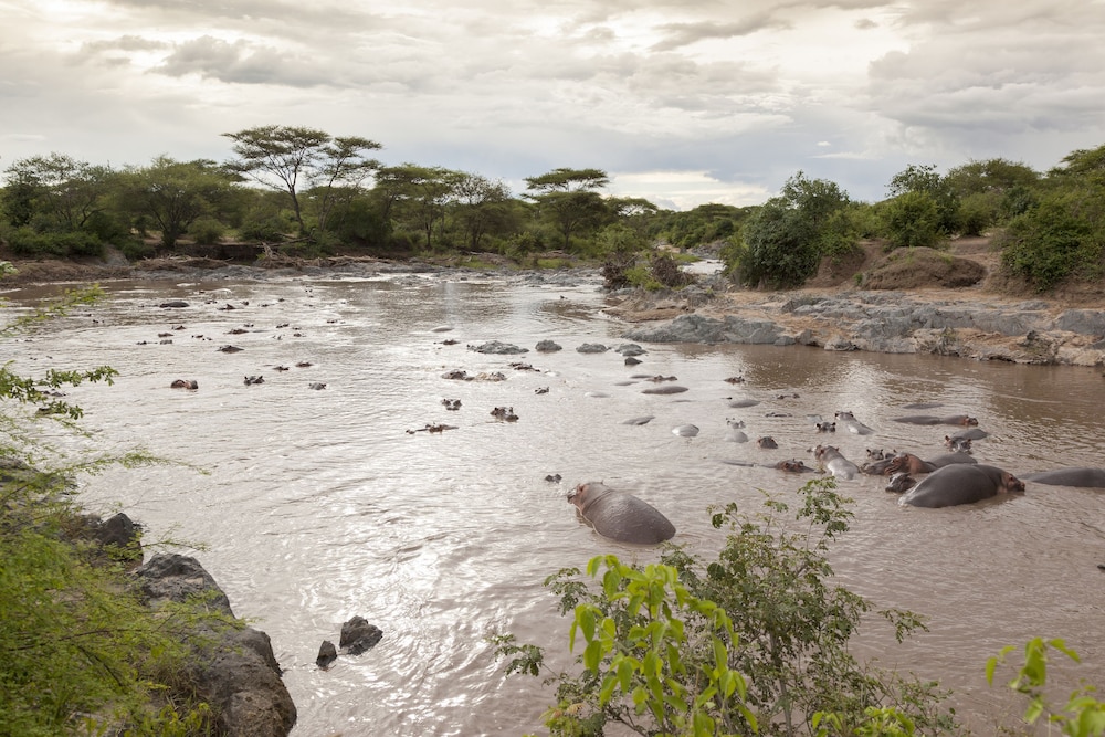 Kananga Special Tented Camp 40/50
