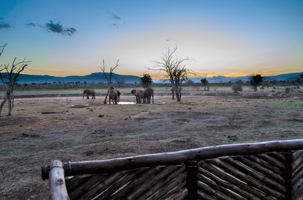 Sentrim Tsavo Lodge 30/42