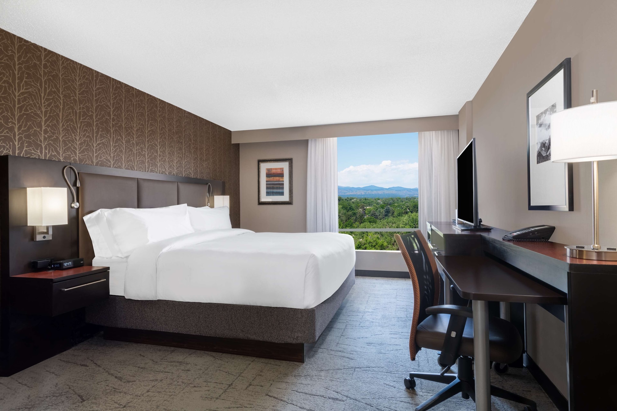 ROOM, KING BED, MOUNTAIN VIEW