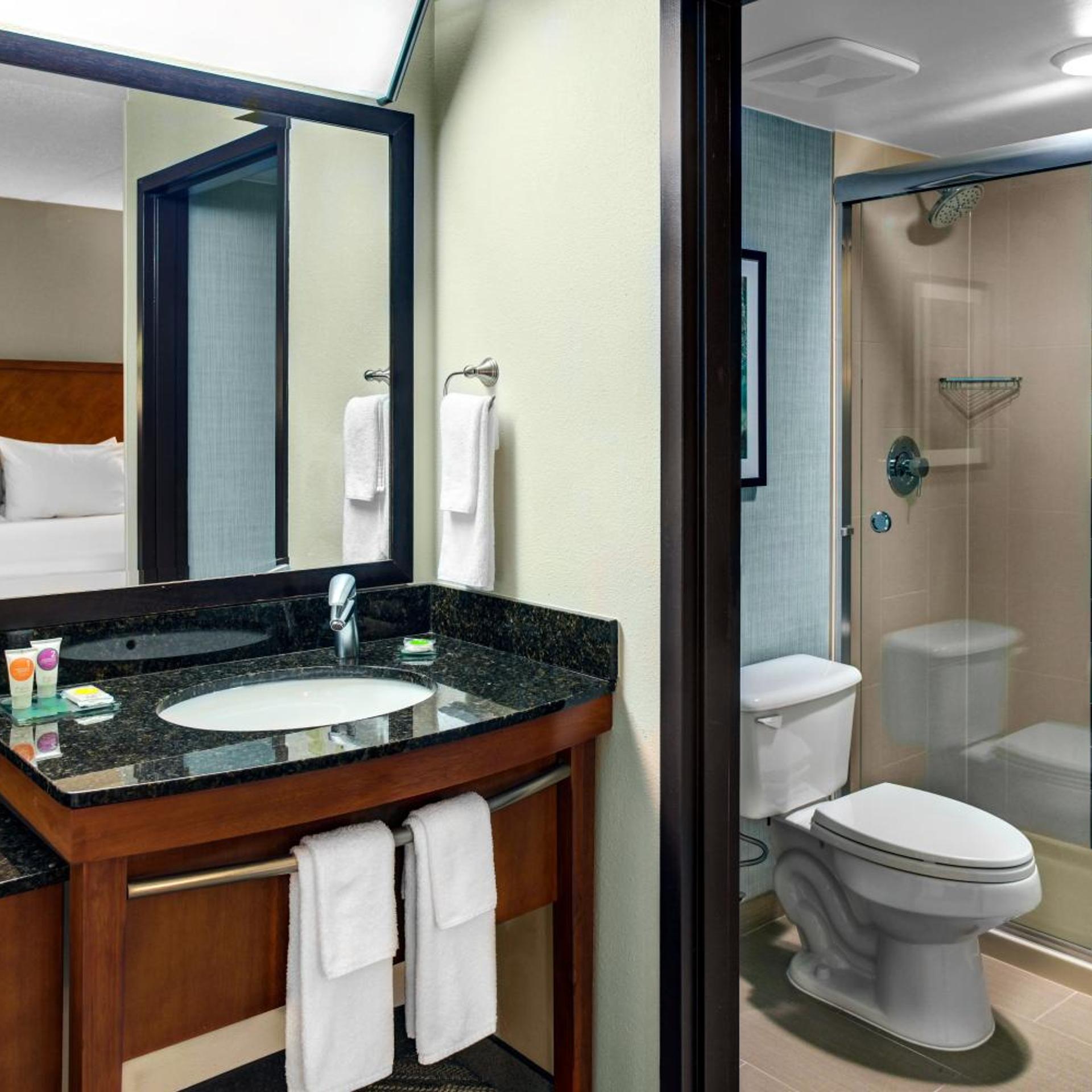 Specialty, 2 Double Beds, Sofa، Hyatt Place Detroit/Auburn Hills 2/3