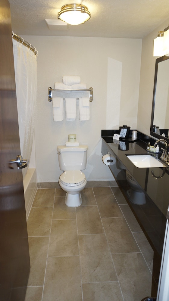Best Western Airport Inn And Suites Cleveland 19/37