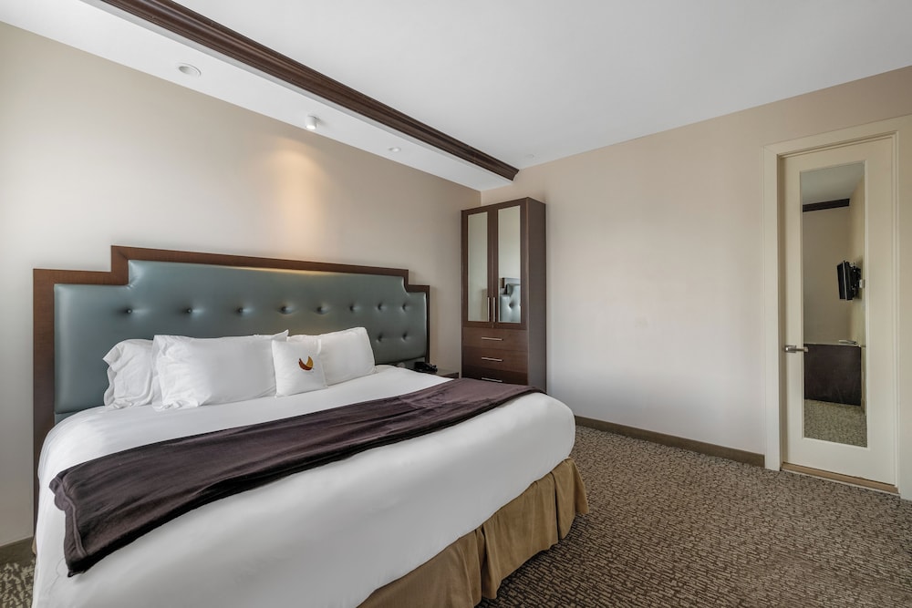 Condor Hotel by LuxUrban, Trademark Collection 11/50