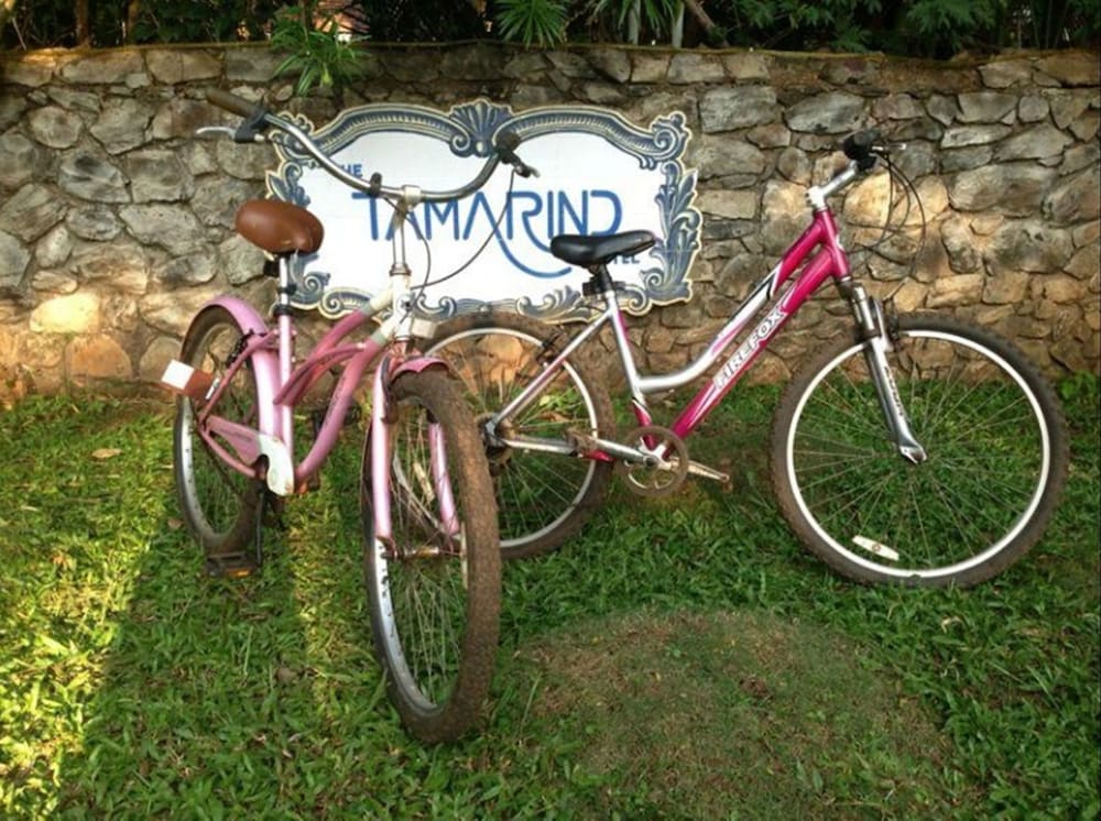 The Tamarind Hotel 28/50