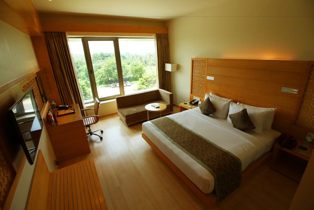 Hotel Sayaji Raipur 19/73