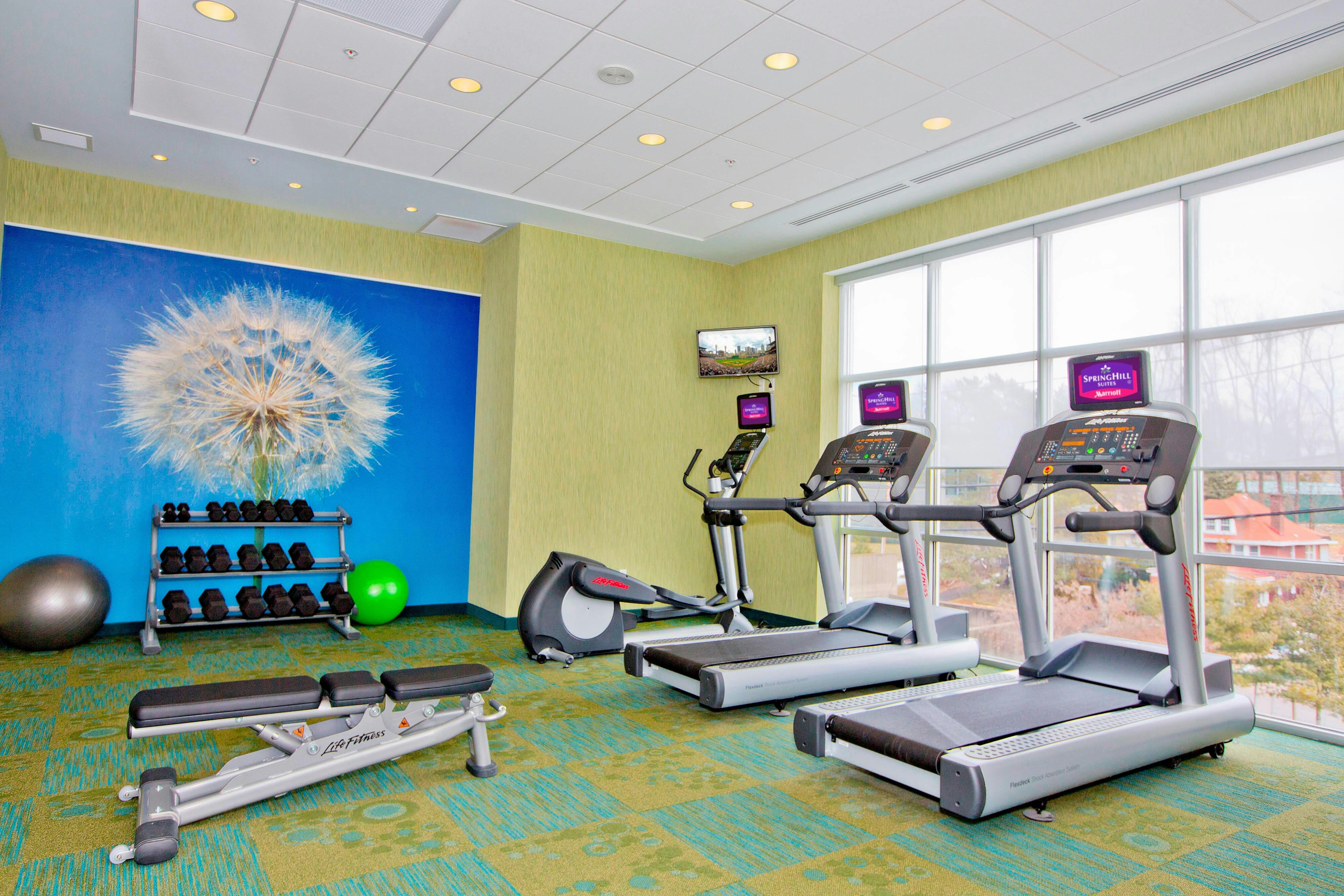Springhill Suites By Marriott Pittsburgh Mt Lebanon 33/44