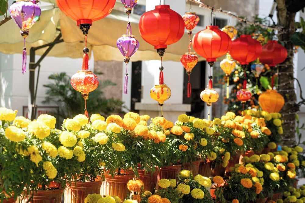 Chi Thanh别墅(Chi Thanh Villa) 图片2