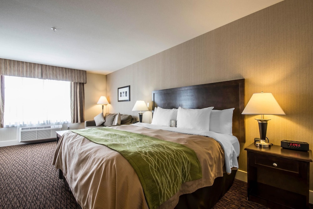 Comfort Inn & Suites Surrey 13/60