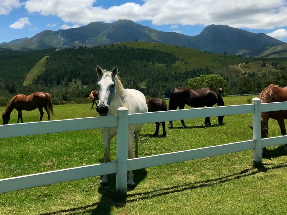 Eight Bells Mountain Inn 35/50