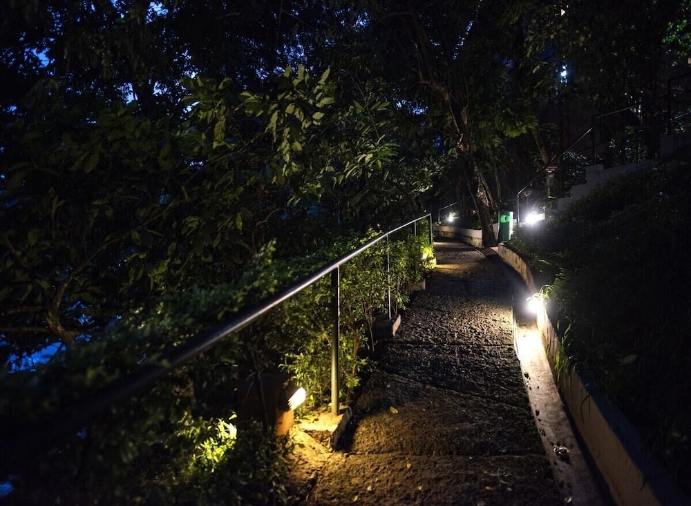 Abad Green Forest 42/50
