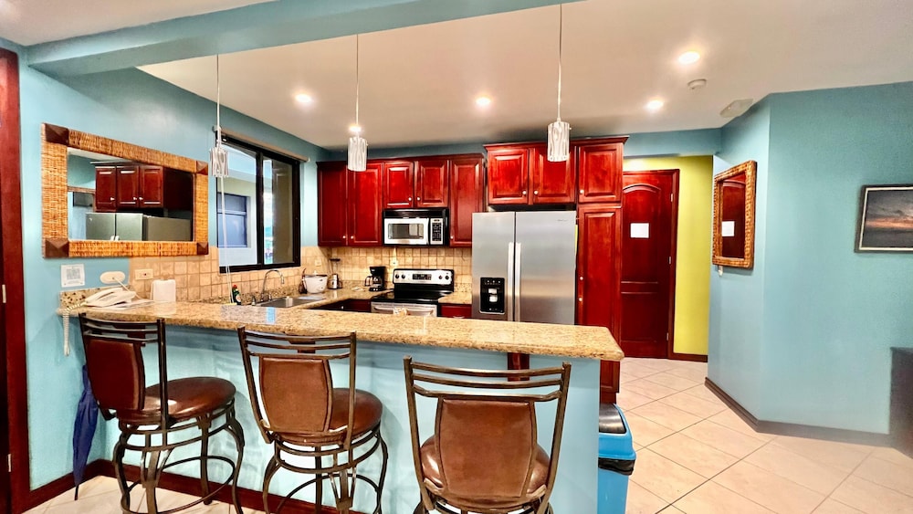 Monte Carlo Luxury Condominiums 33/50