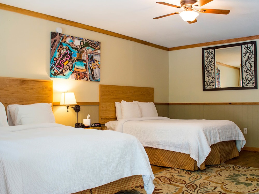 The Resort at Schlitterbahn 18/50