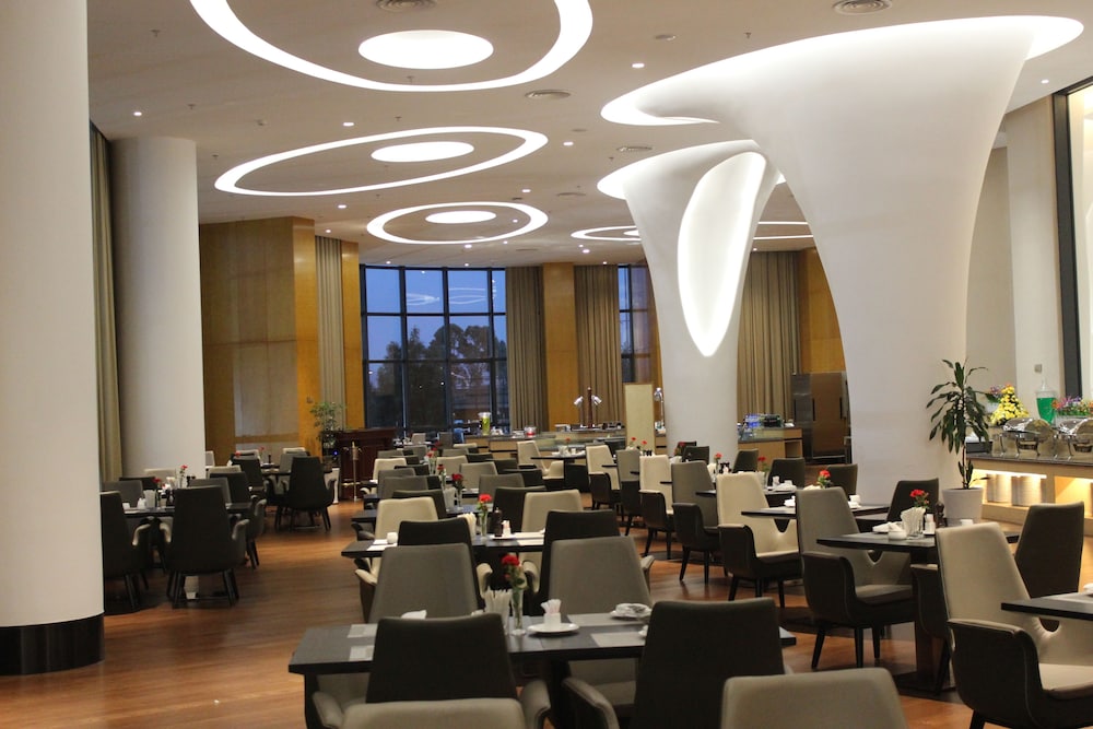 Ethiopian Skylight Hotel 36/45