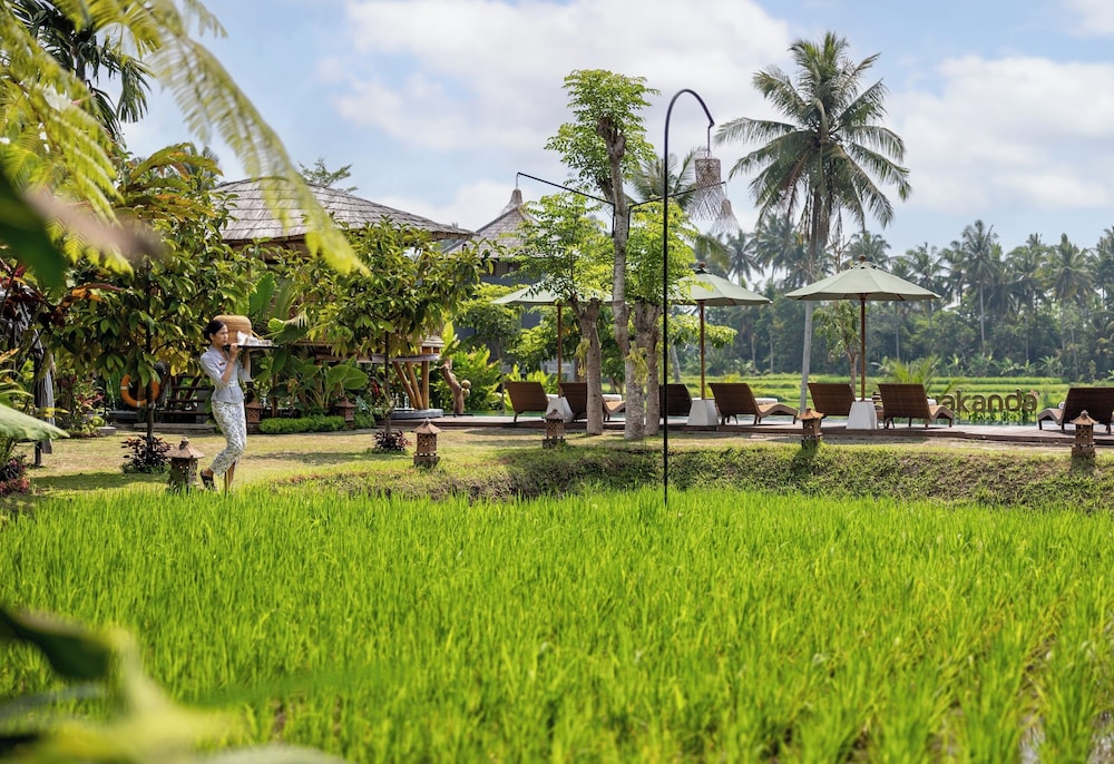 The Wakanda Ubud A Pramana Experience 43/50