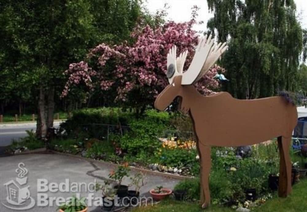 Anchorage Walkabout Town B&B 29/43