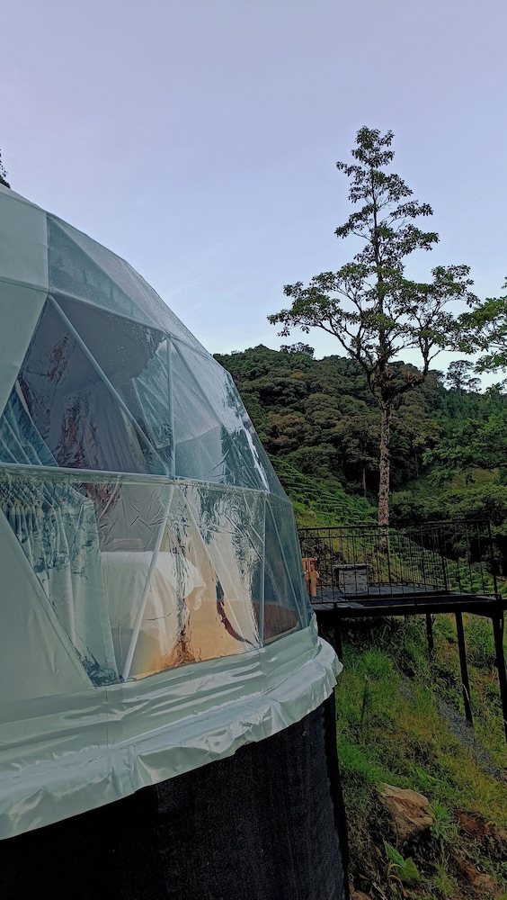 Tree Trek Boquete Adventure Park 27/50