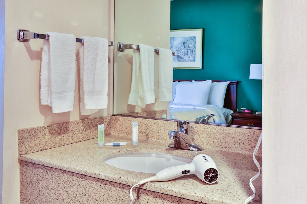 The View Inn Suites Hotel 43/69