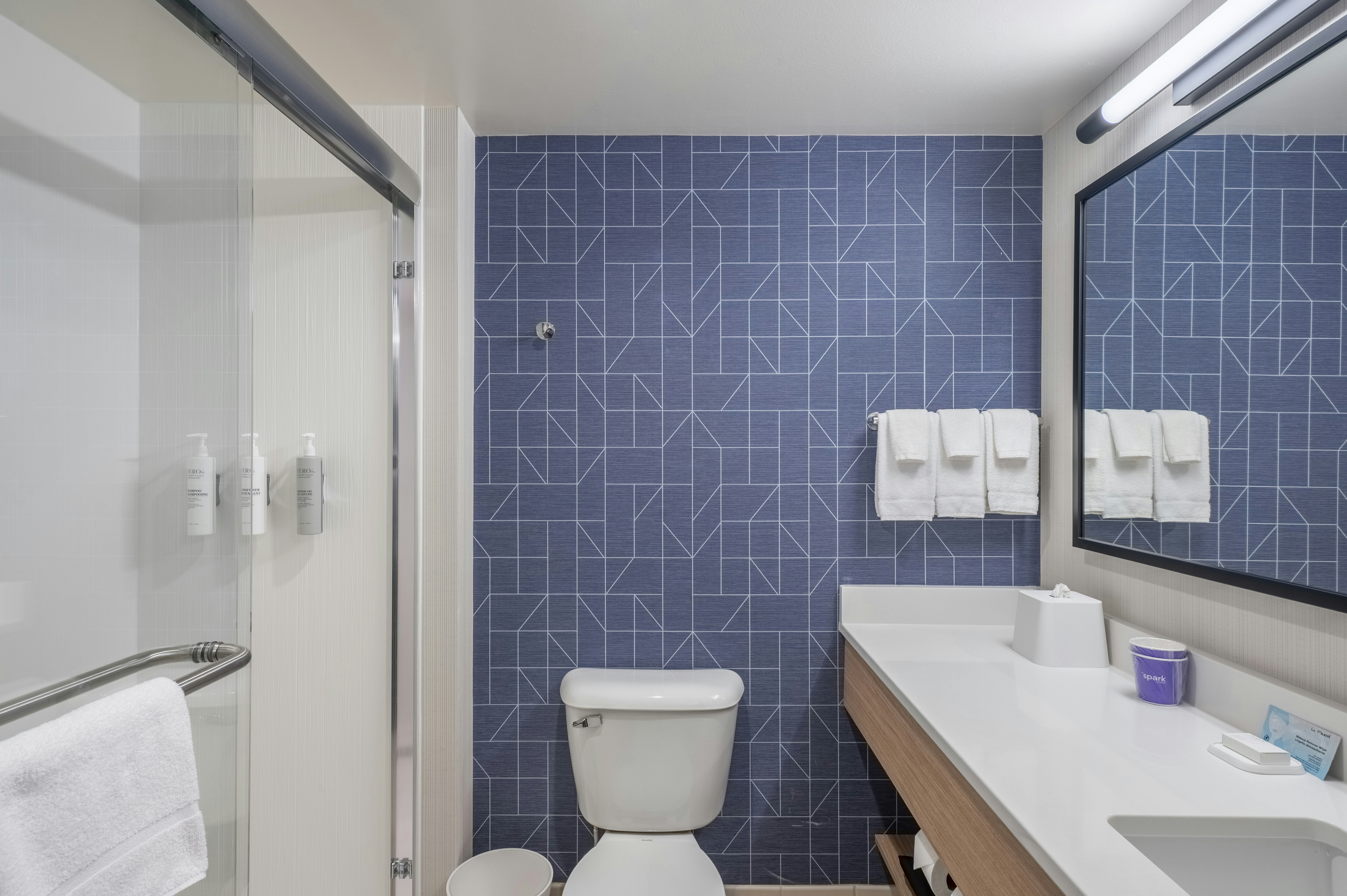 STUDIO, QUEEN BED, ACCESSIBLE