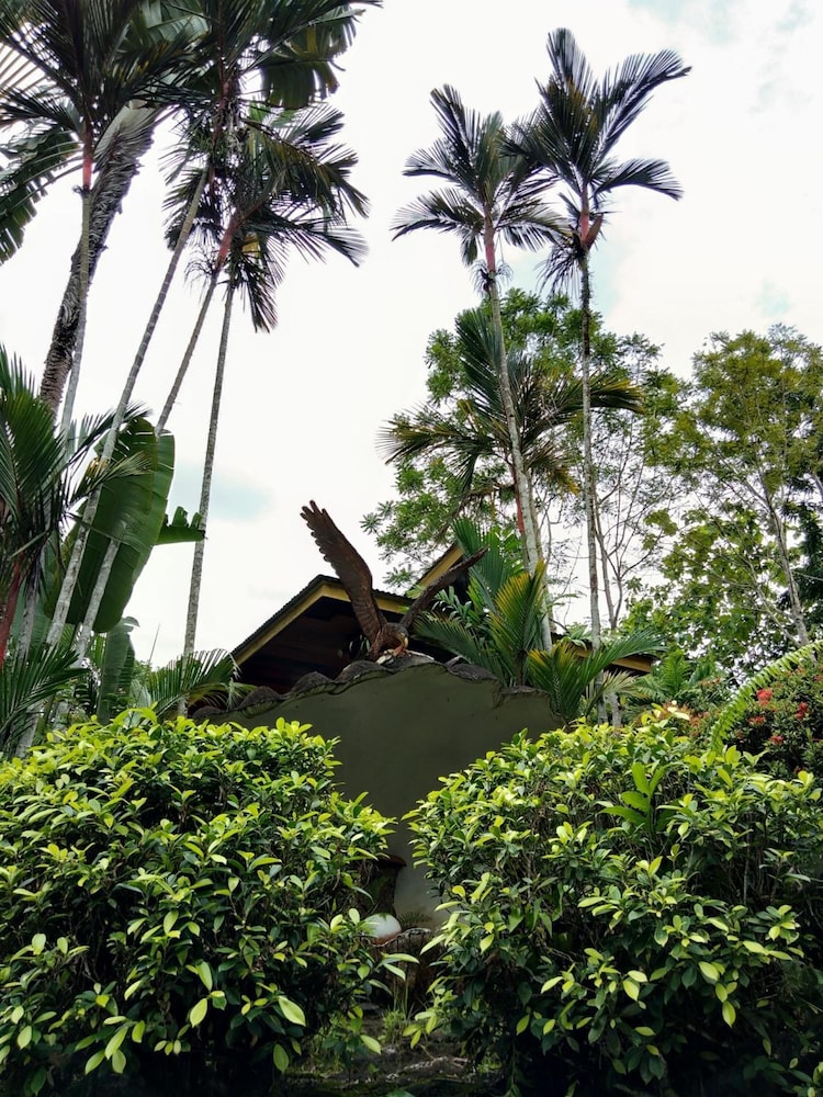 Sepilok Jungle Resort 53/62