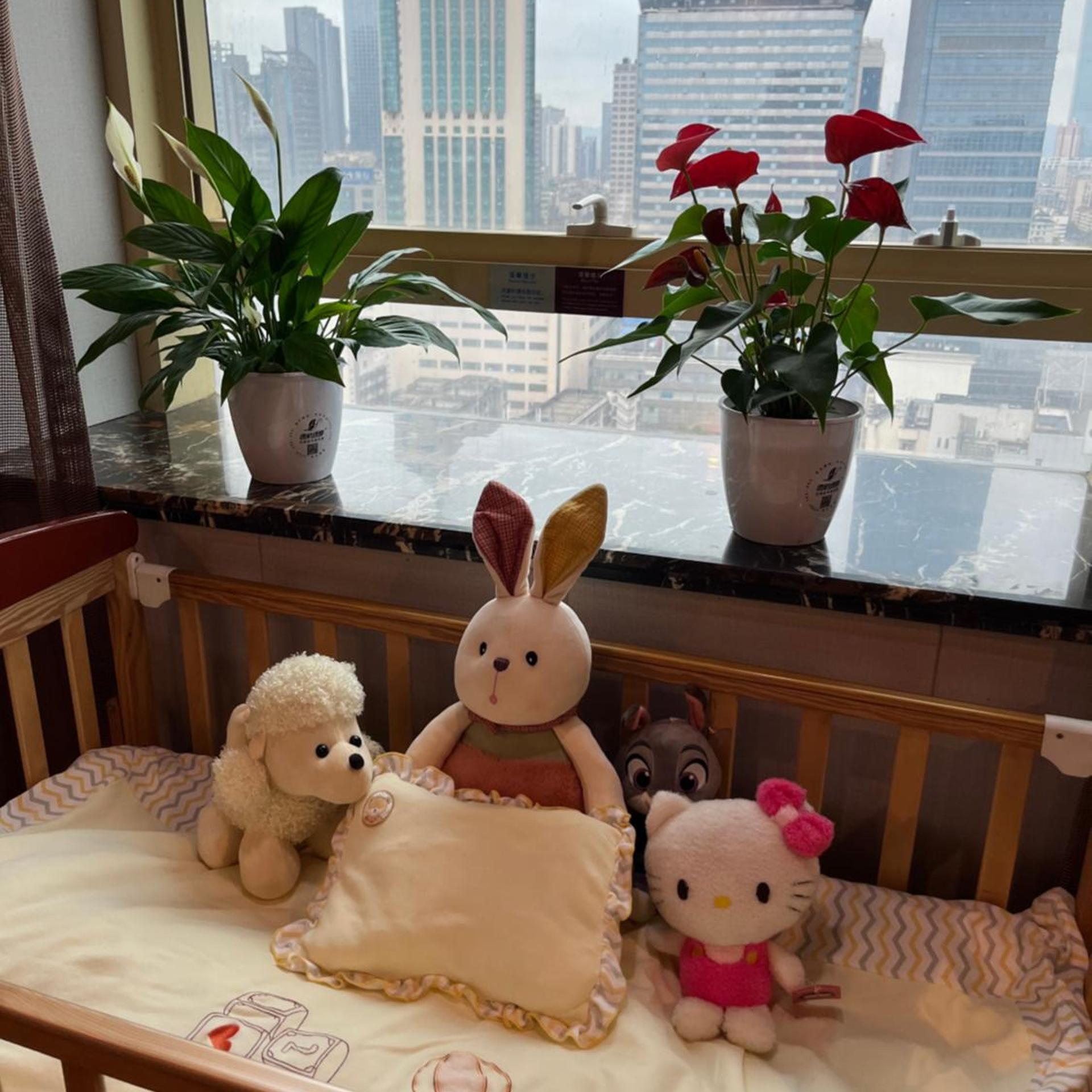 Days Hotel & Suites China Town Changsha 49/69