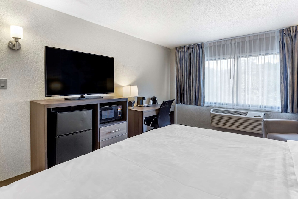 ROOM, KING BED, ACCESSIBLE