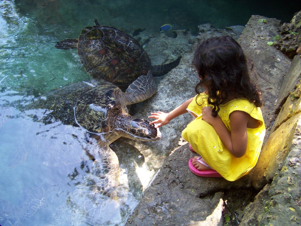 Baraka Aquarium Bungalows 20/42