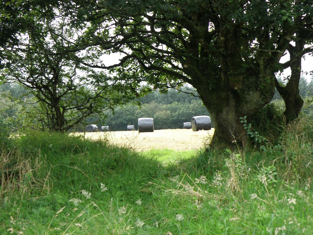 Hay Meadow Farm 33/50