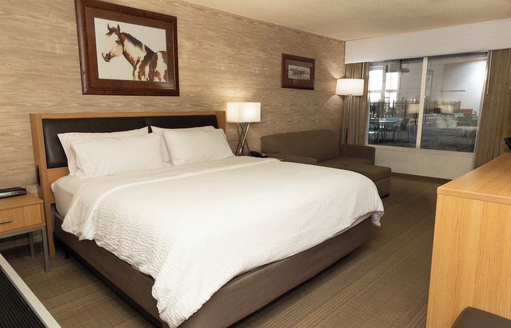 Standard, King Bed, Pool Access