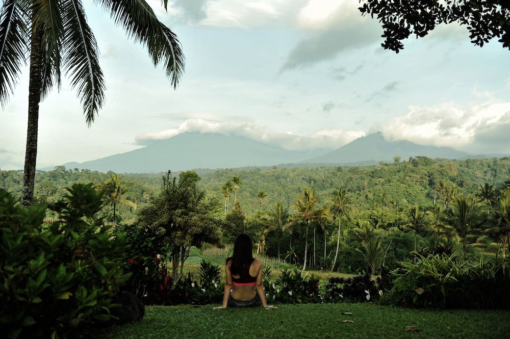 Ijen Resort 58/65