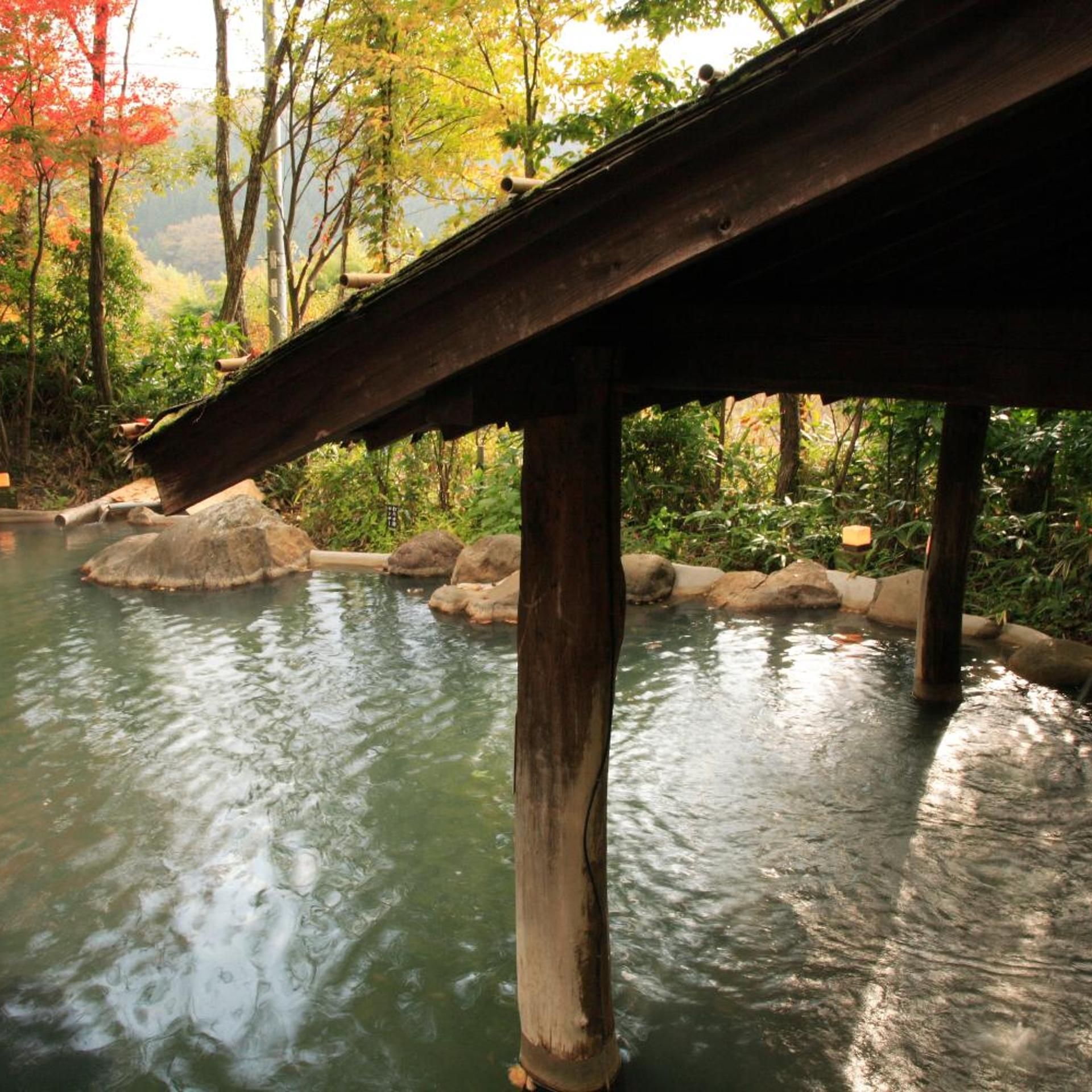 Ryokan Kono-Yu 27/50