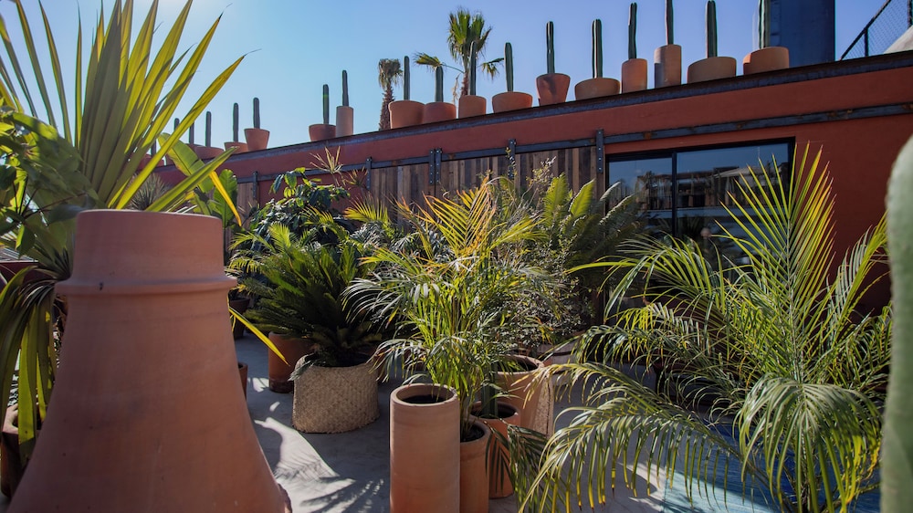 Hotel Los Amantes 35/50