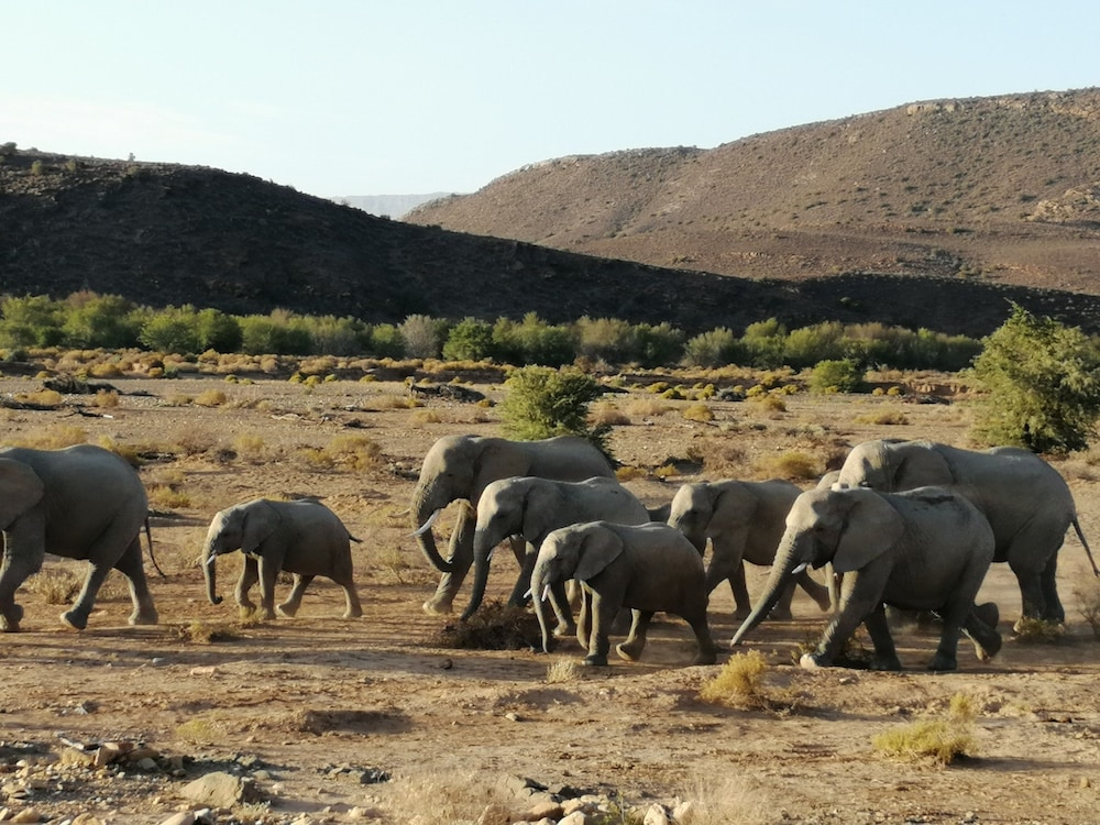 Sanbona Wildlife Reserve 29/50