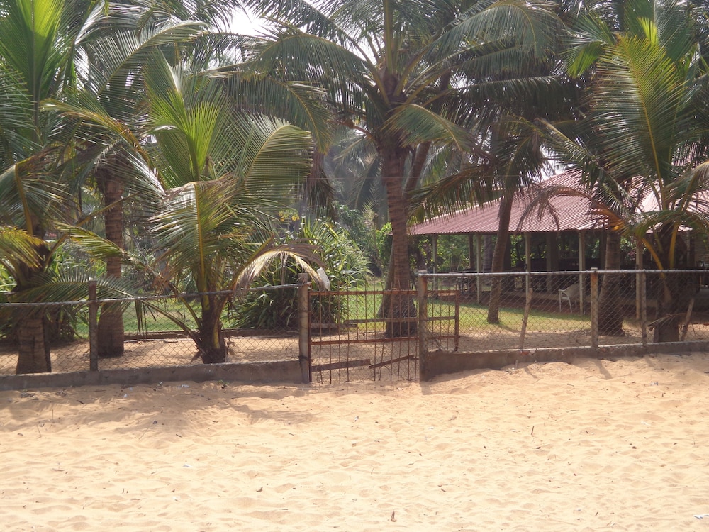 Hotel Star White Negombo 38/50