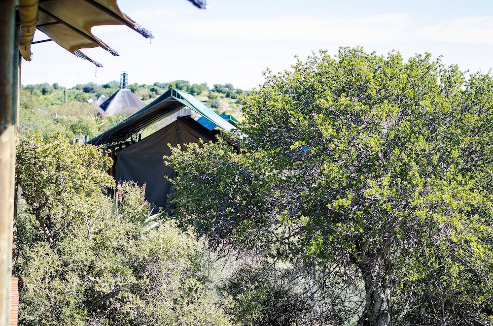 Buffelsdrift Game Lodge 45/73