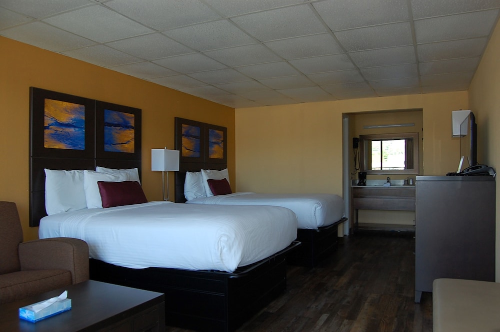Vacation Lodge 20/65