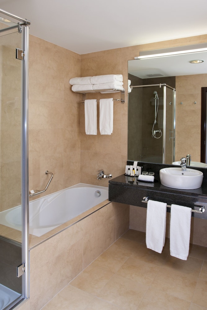 Crowne Plaza Madrid Airport Hotel 11/76