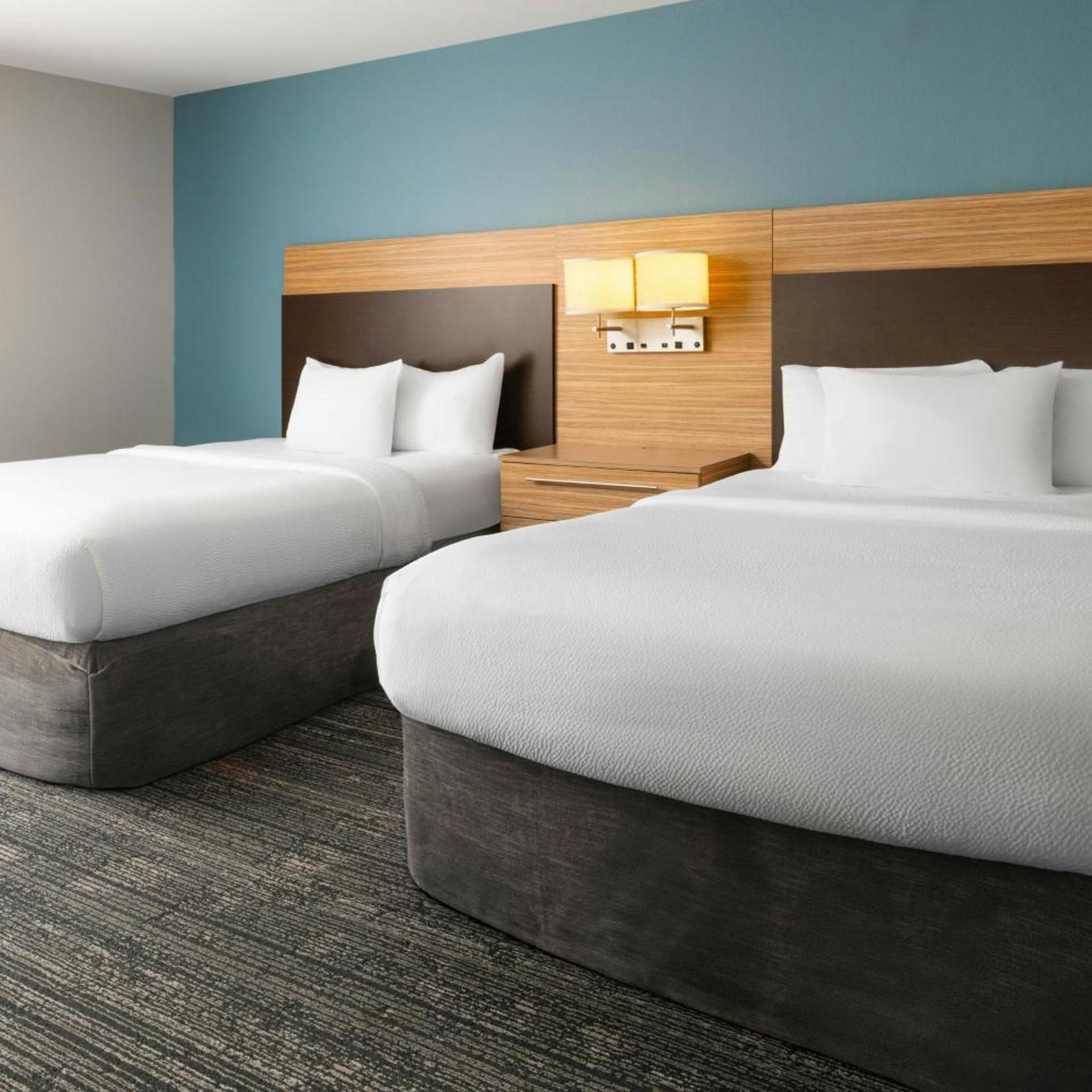 Studio, King Bed, 2 Queen Beds