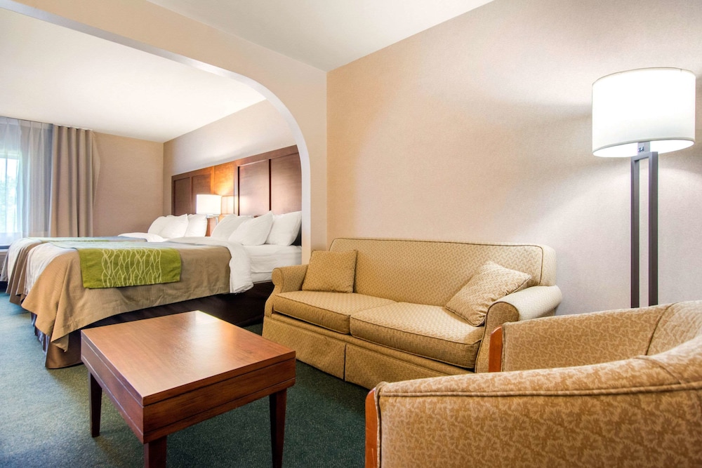 Comfort Inn and Suites Shawinigan 33/47