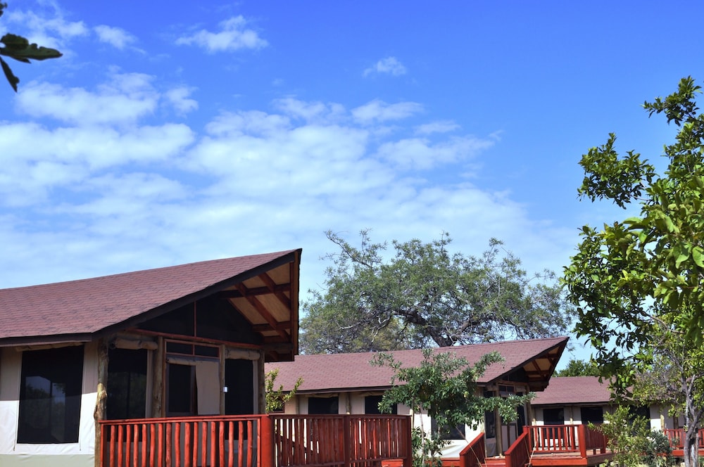 Balloon Camp Tarangire 3/31