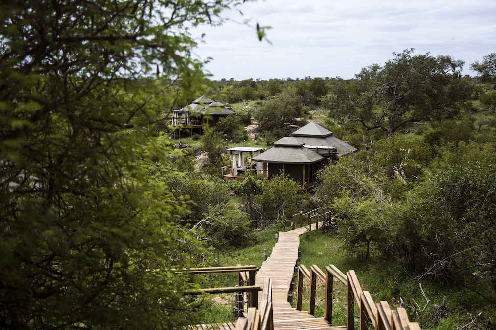 Simbavati Hilltop Lodge 46/50