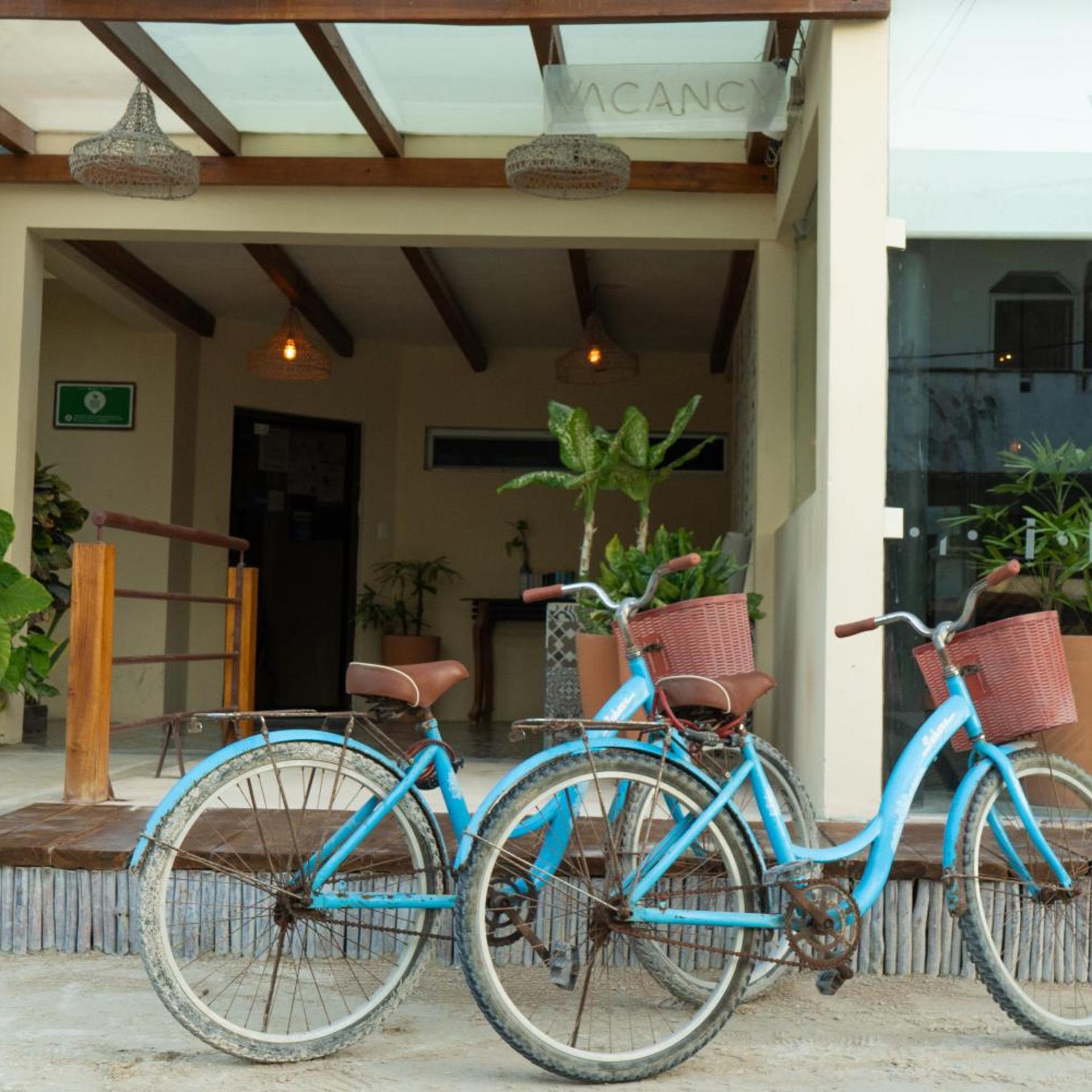 Hotel Siesta Holbox 11/50