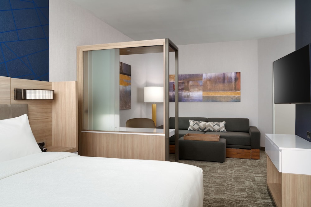 SpringHill Suites by Marriott Phoenix Scottsdale 17/41